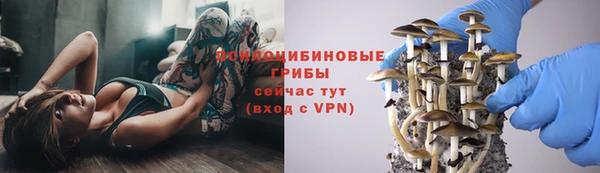 мяу мяу мука Новодвинск