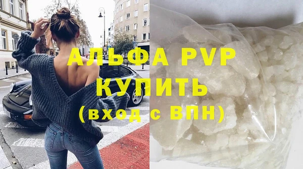 индика Новокубанск