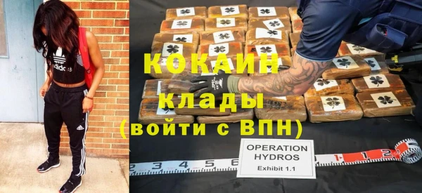индика Новокубанск