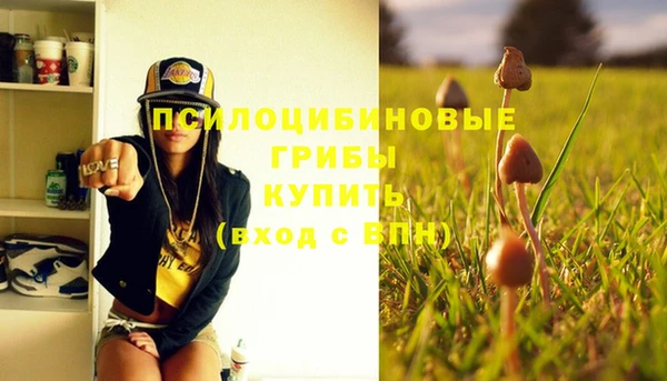 трава Нея