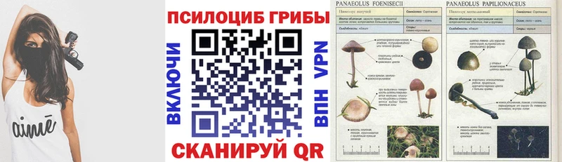 Галлюциногенные грибы мухоморы Нариманов